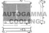 AUTOGAMMA 100252 Radiator, engine cooling